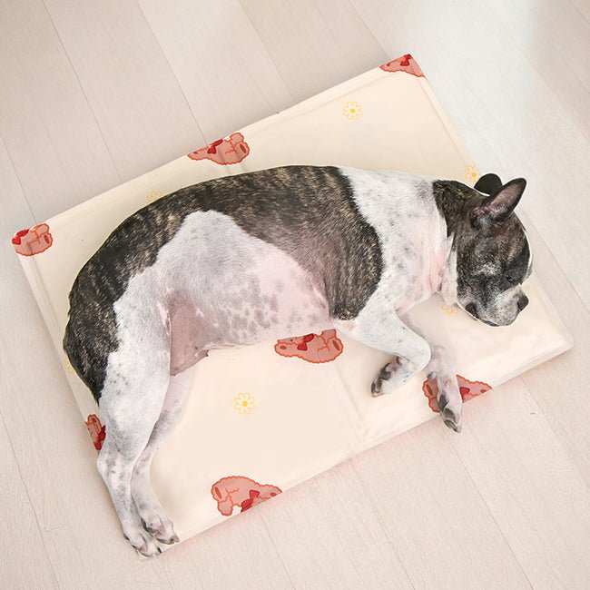 Olchi Bear Cool Mat verkoelende hondenmat cooling > koelmat Honden