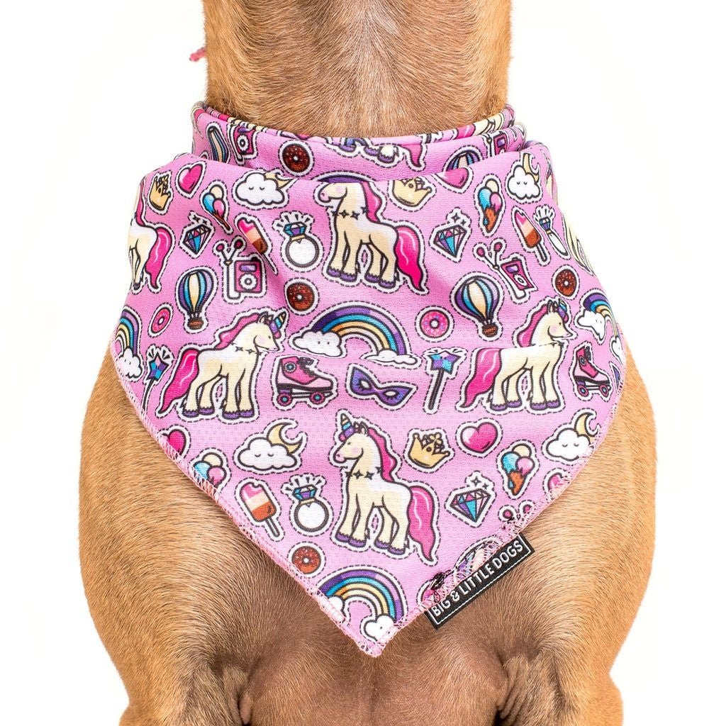 Big and Little Dogs Bandana One of A Kind (ALLEEN M/L) Hondenkleding > bandana Small/Medium