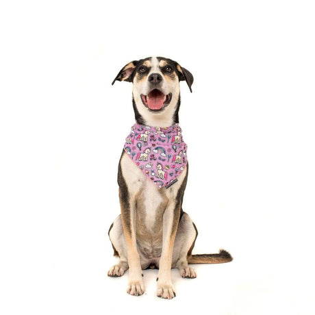 Big and Little Dogs Bandana One of A Kind (ALLEEN M/L) Hondenkleding > bandana Small/Medium