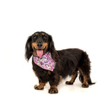 Big and Little Dogs Bandana One of A Kind (ALLEEN M/L) Hondenkleding > bandana Small/Medium