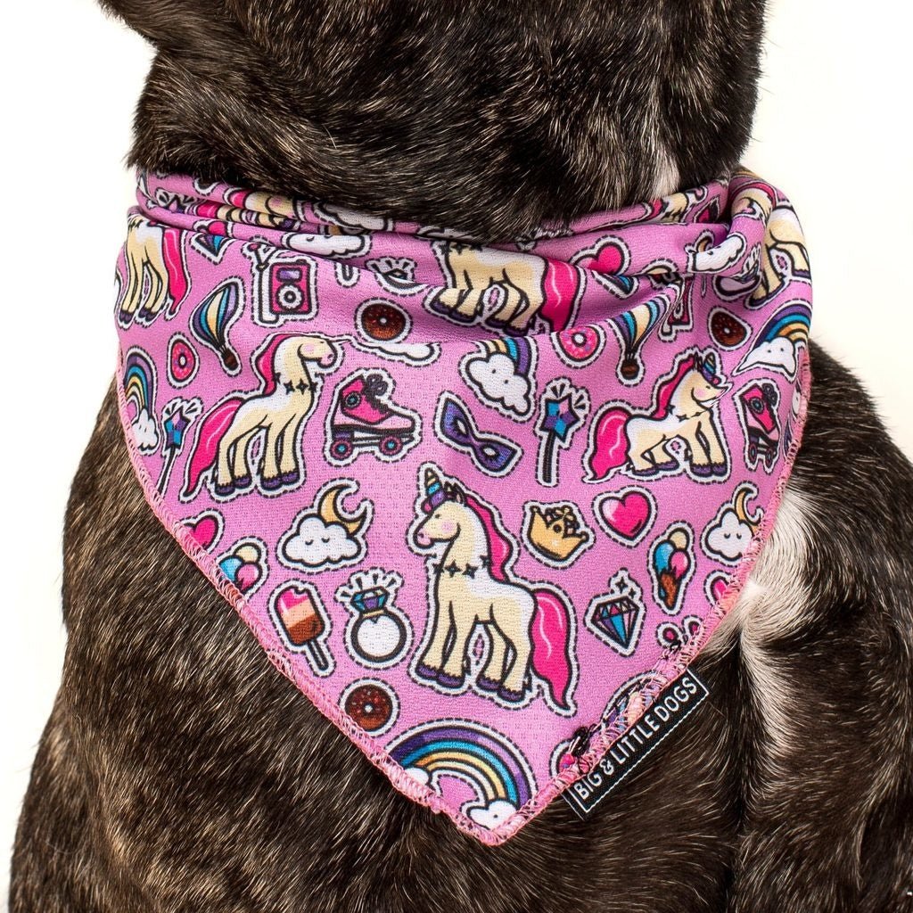 Big and Little Dogs Bandana One of A Kind (ALLEEN M/L) Hondenkleding > bandana Small/Medium