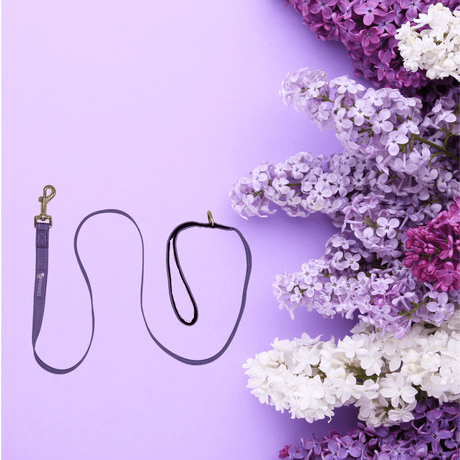 Frenkiez reflective dog leash Luxury Lila hondenriem > hondenlijn Small