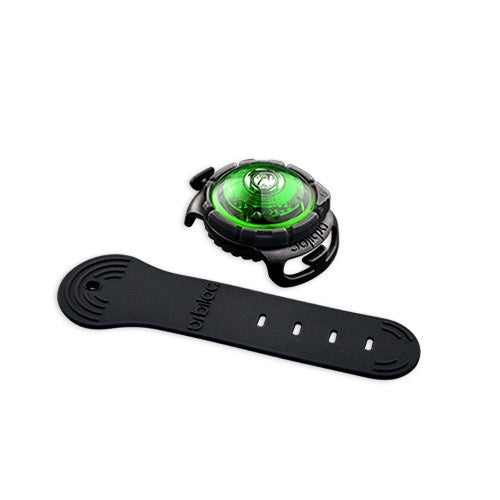 Orbiloc DOG Dual Green - Premium Hondenlampje > veiligheidslampje from Orbiloc - Just €26.50! Shop now at Frenkiezdogshop