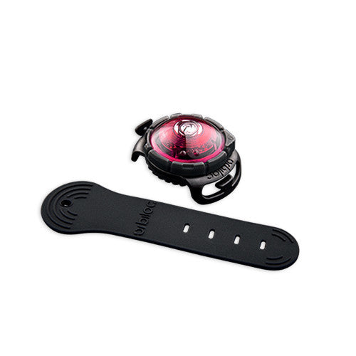 Orbiloc DOG Dual Pink - Premium Hondenlampje > veiligheidslampje from Orbiloc - Just €26.50! Shop now at Frenkiezdogshop