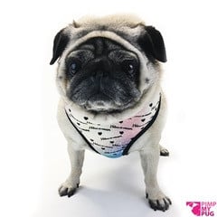 Pimp My Pug Harness Reversible Rainbow - Premium hondentuig > honden harnas from Pimp My Pug - Just €22.99! Shop now at Frenkiezdogshop