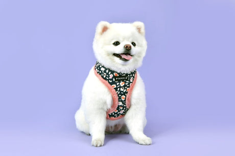 Puppia Elyse Harness Model A Indian Pink ( L & XL ) Hondenkleding > Hondentrui Large