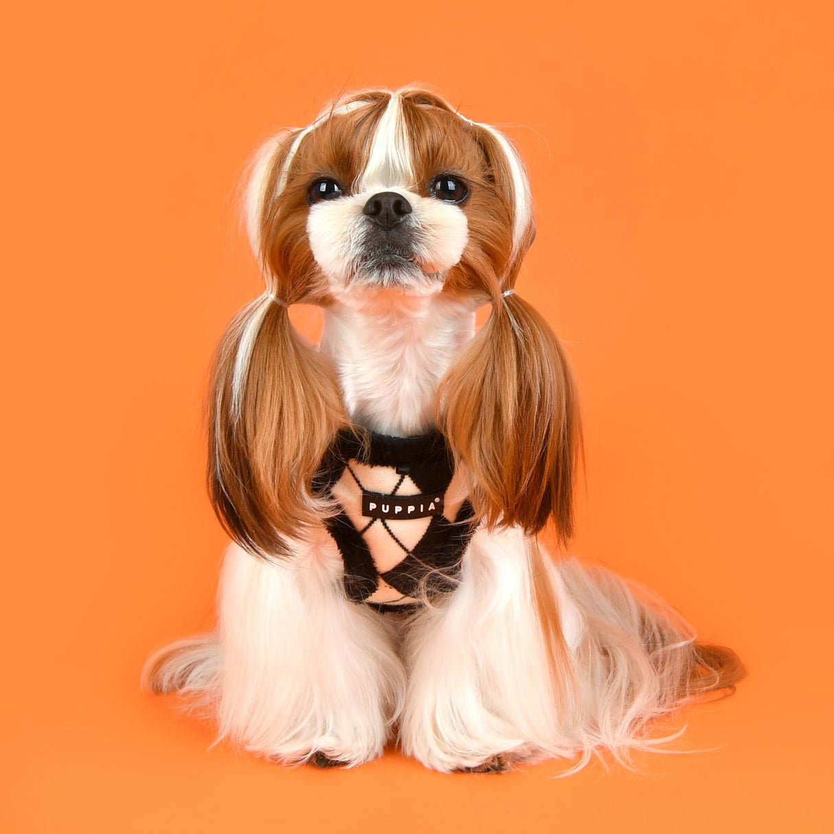 Puppia Vest Harness B Jaden Black - Premium hondentuig > honden harnas from Puppia - Just €30.99! Shop now at Frenkiezdogshop