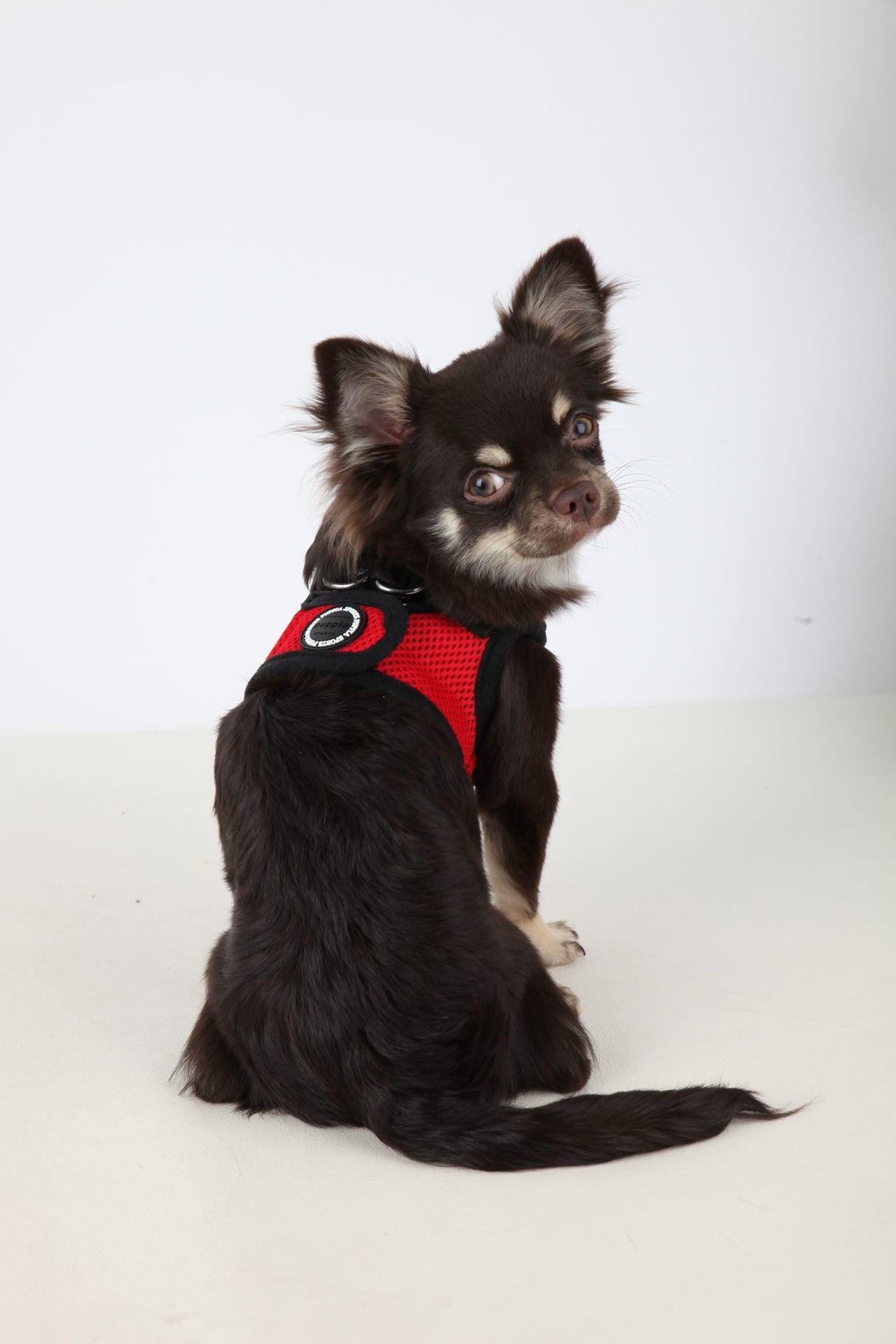 Puppia Soft Vest Harness model B red - Premium hondentuig > honden harnas from Puppia - Just €18.99! Shop now at Frenkiezdogshop