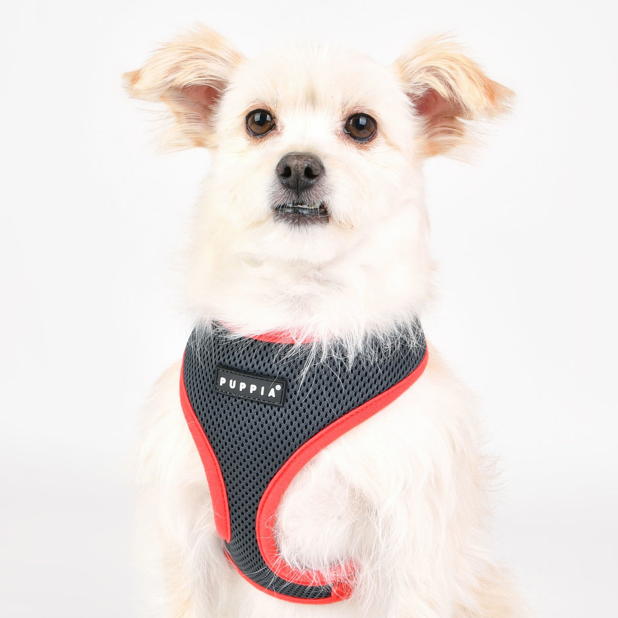 Puppia Soft Harness II model A Grey - Premium hondentuig > honden harnas from Puppia - Just €18.99! Shop now at Frenkiezdogshop