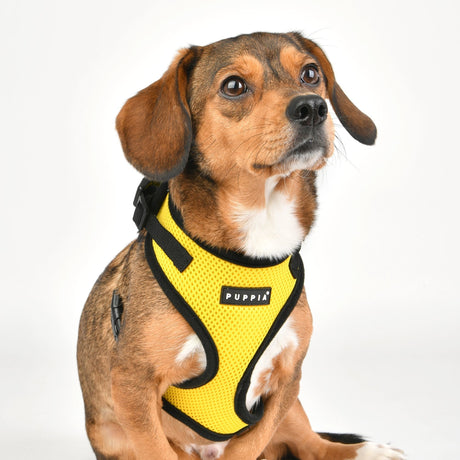 Puppia Soft Harness Ritefit Yellow hondentuig > honden harnas > model A Small