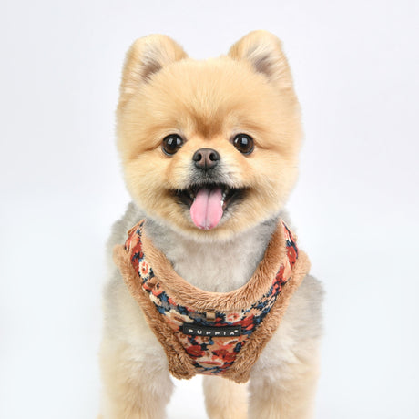 Puppia Vest Harness B Gianni Beige hondentuig > honden harnas > model B Small