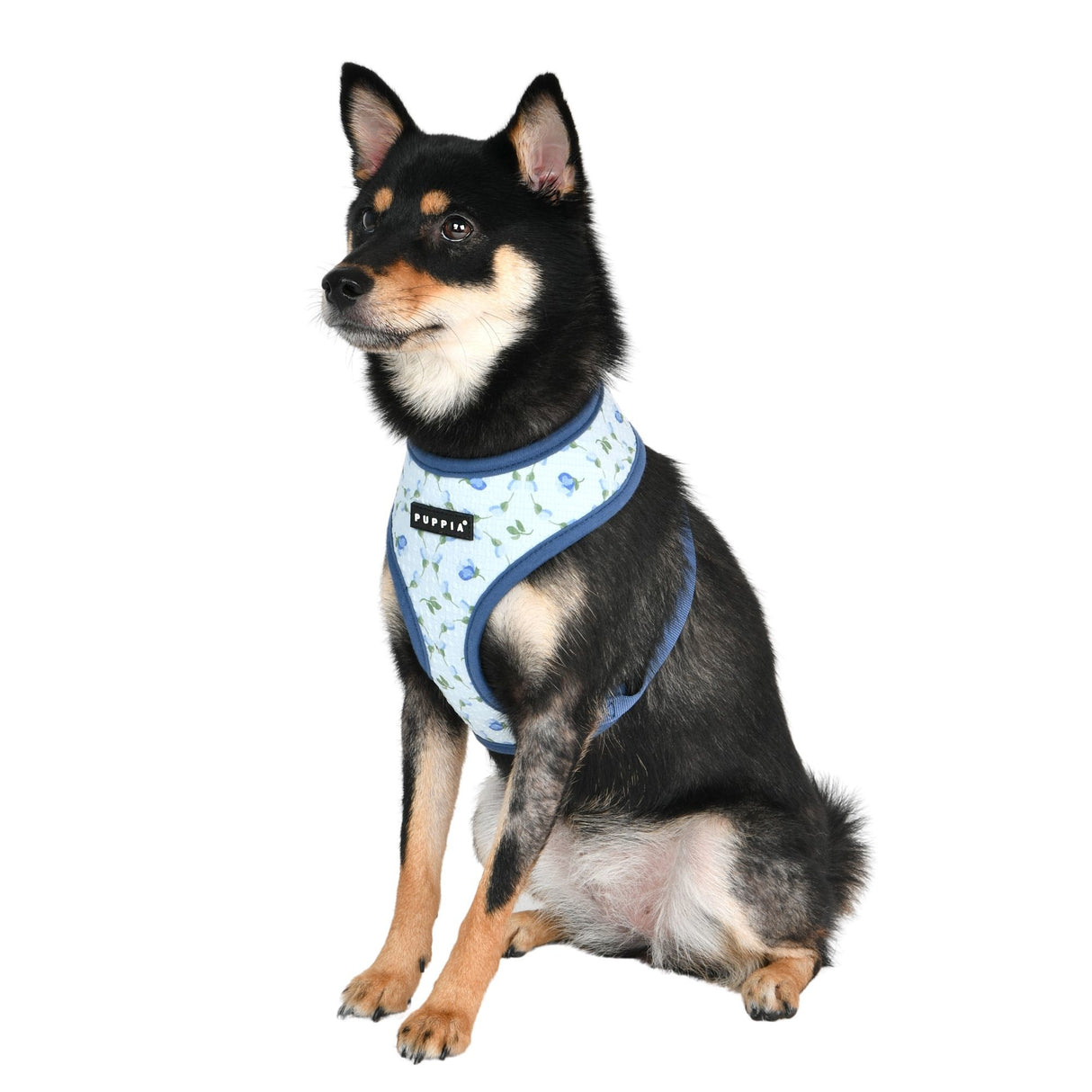 Puppia Florian Harness Model A Blue - Premium hondentuig > honden harnas from Puppia - Just €31.99! Shop now at Frenkiezdogshop