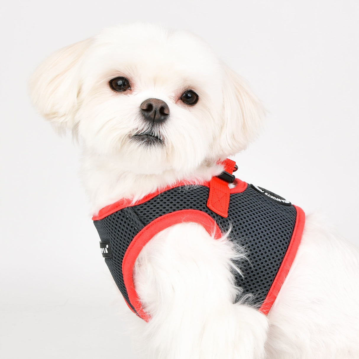 Puppia Soft Vest Harness II model B Grey - Premium hondentuig > honden harnas from Puppia - Just €19.99! Shop now at Frenkiezdogshop