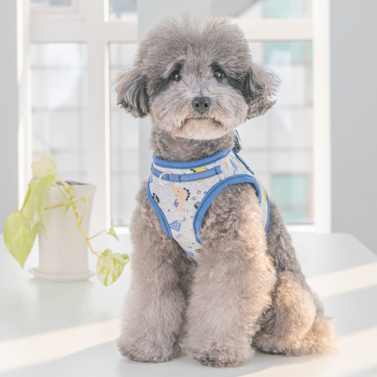 Puppia Minmi Vest Harness model B Blue - Premium hondentuig > honden harnas from Puppia - Just €31.99! Shop now at Frenkiezdogshop