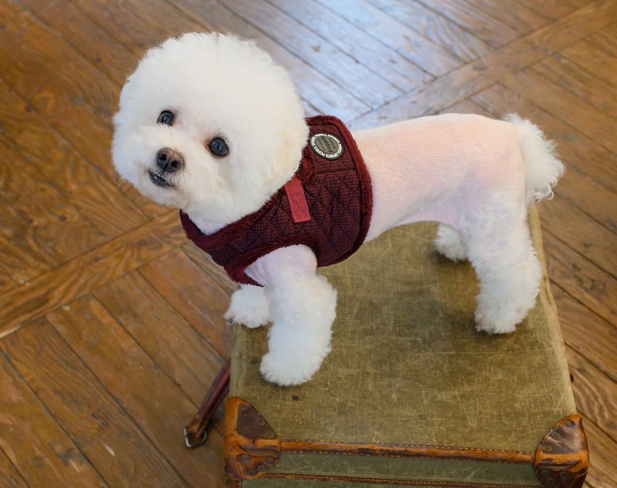 Puppia Vest Harness B Gaspar Wine - Premium hondentuig > honden harnas from Puppia - Just €30.99! Shop now at Frenkiezdogshop