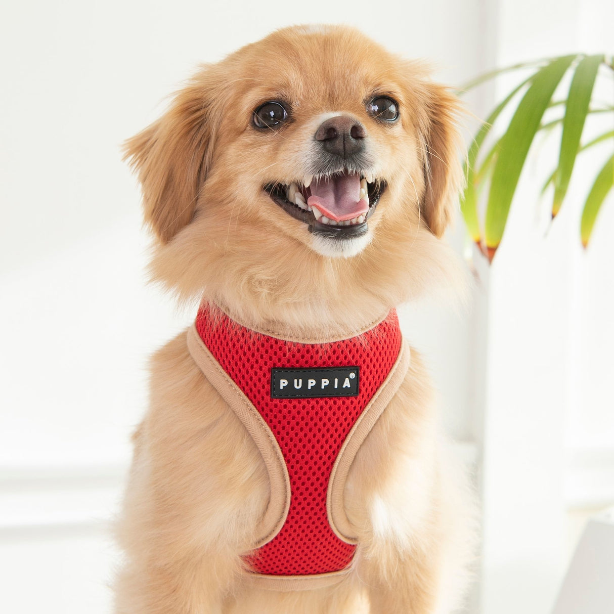 Puppia Soft Harness II model A Red - Premium hondentuig > honden harnas from Puppia - Just €18.99! Shop now at Frenkiezdogshop