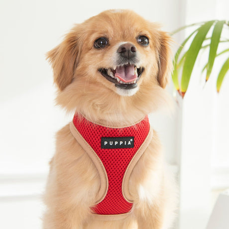 Puppia Soft Harness II model A Red hondentuig > honden harnas > model A Small