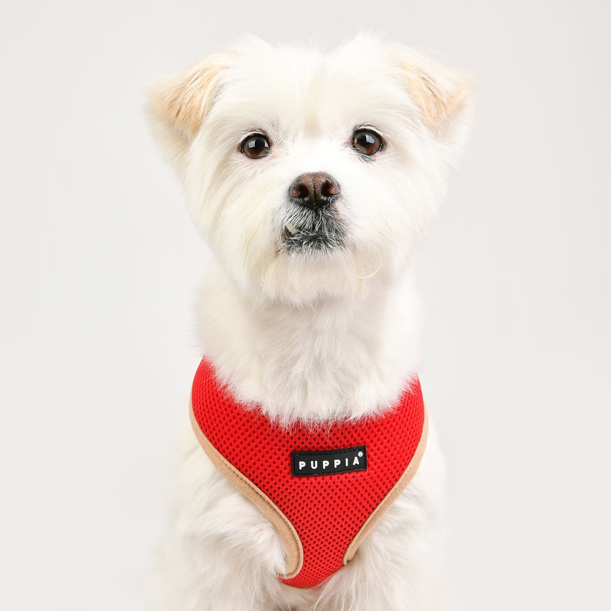 Puppia Soft Harness II model A Red - Premium hondentuig > honden harnas from Puppia - Just €18.99! Shop now at Frenkiezdogshop