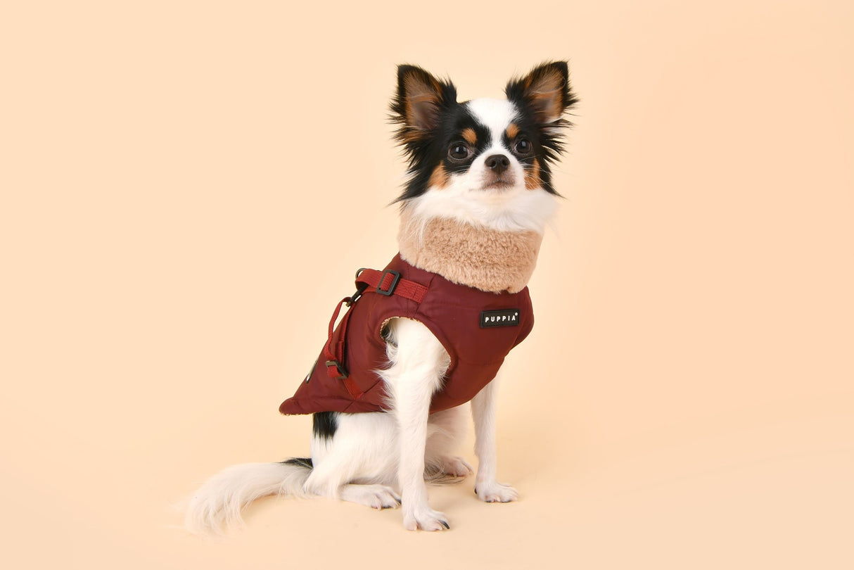 Puppia Donavan Jacket Harness Wine - Premium Hondenkleding > hondenjas from Puppia - Just €81.99! Shop now at Frenkiezdogshop