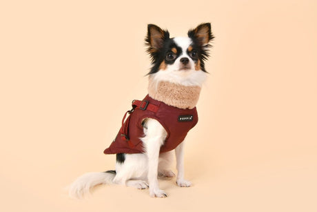 Puppia Donavan Jacket Harness Wine Hondenkleding > hondenjas Small