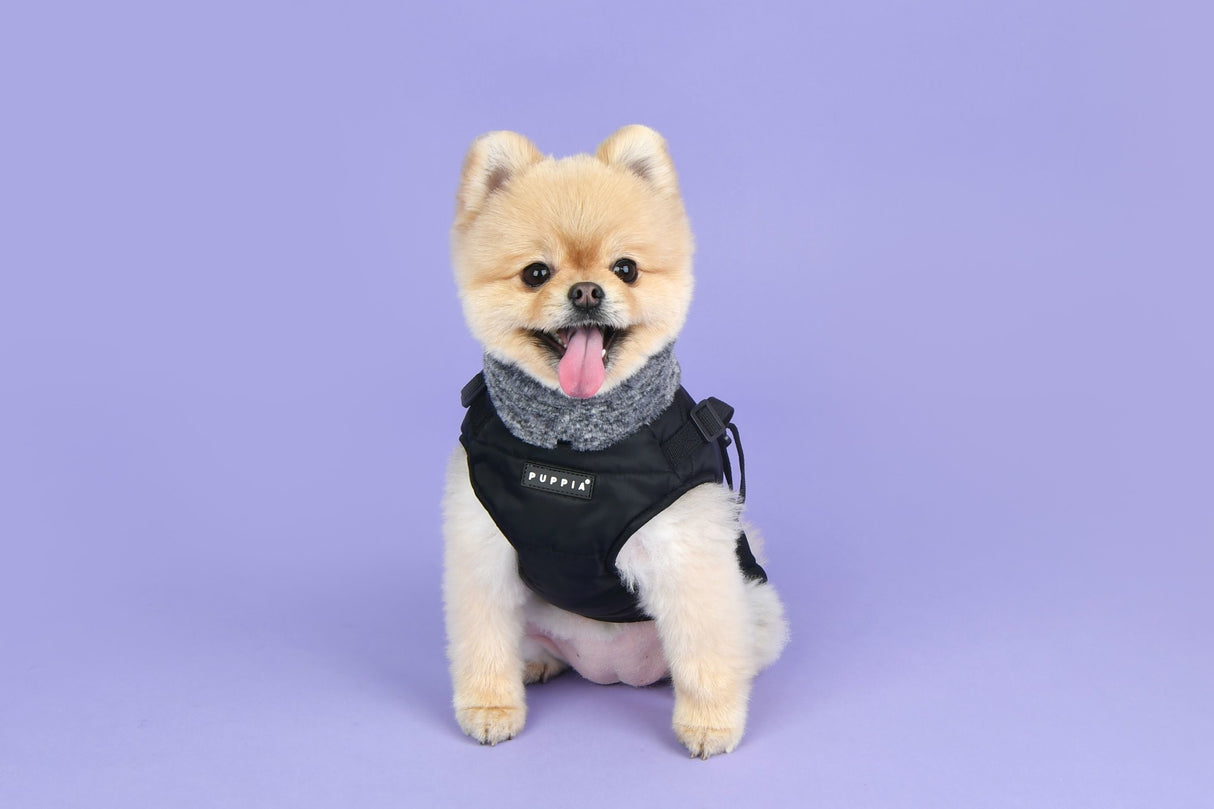 Puppia Donavan Jacket Harness Black - Premium Hondenkleding > hondenjas from Puppia - Just €81.99! Shop now at Frenkiezdogshop