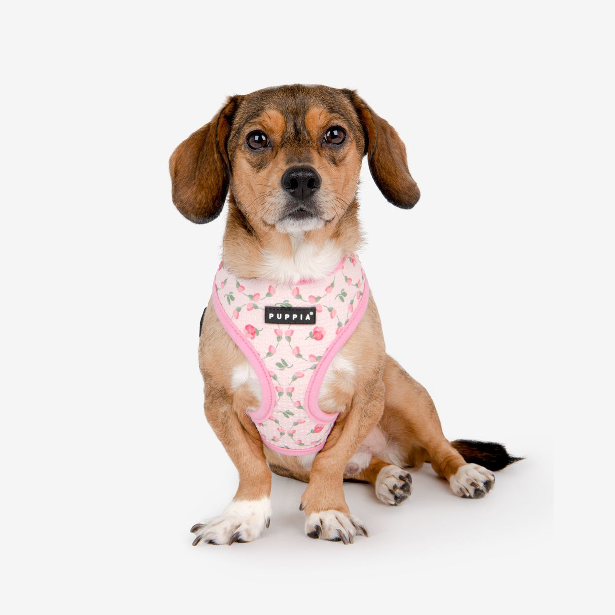 Puppia Florian Harness Model A  Pink - Premium hondentuig > honden harnas from Puppia - Just €31.99! Shop now at Frenkiezdogshop