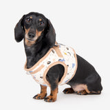 Puppia Minmi Vest Harness model B Beige - Premium hondentuig > honden harnas from Puppia - Just €31.99! Shop now at Frenkiezdogshop