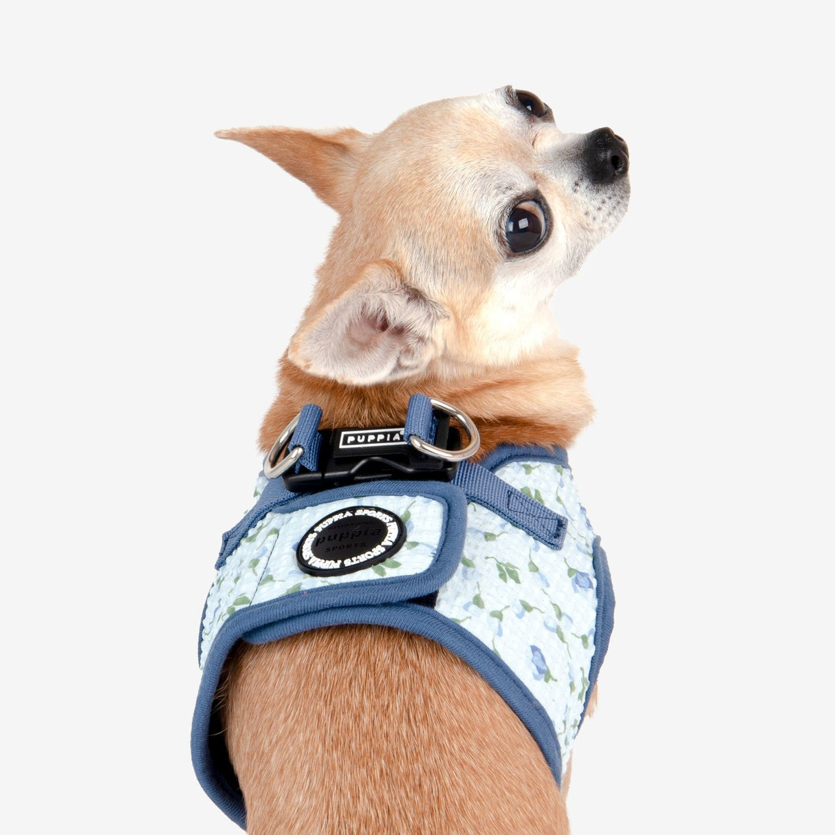 Puppia Florian Vest Harness model B Blue - Premium hondentuig > honden harnas from Puppia - Just €33.99! Shop now at Frenkiezdogshop