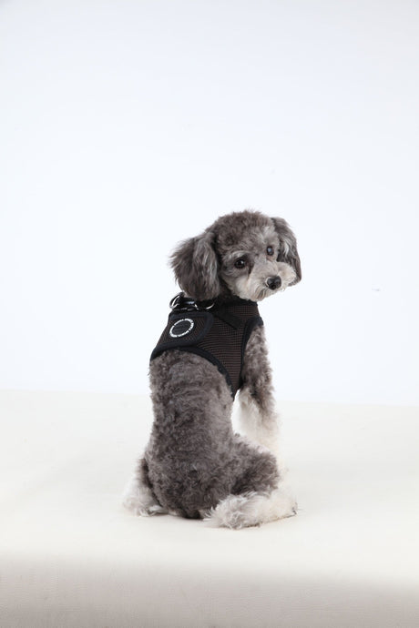 Puppia Soft Vest Harness model B brown hondentuig > honden harnas > model B X - Small