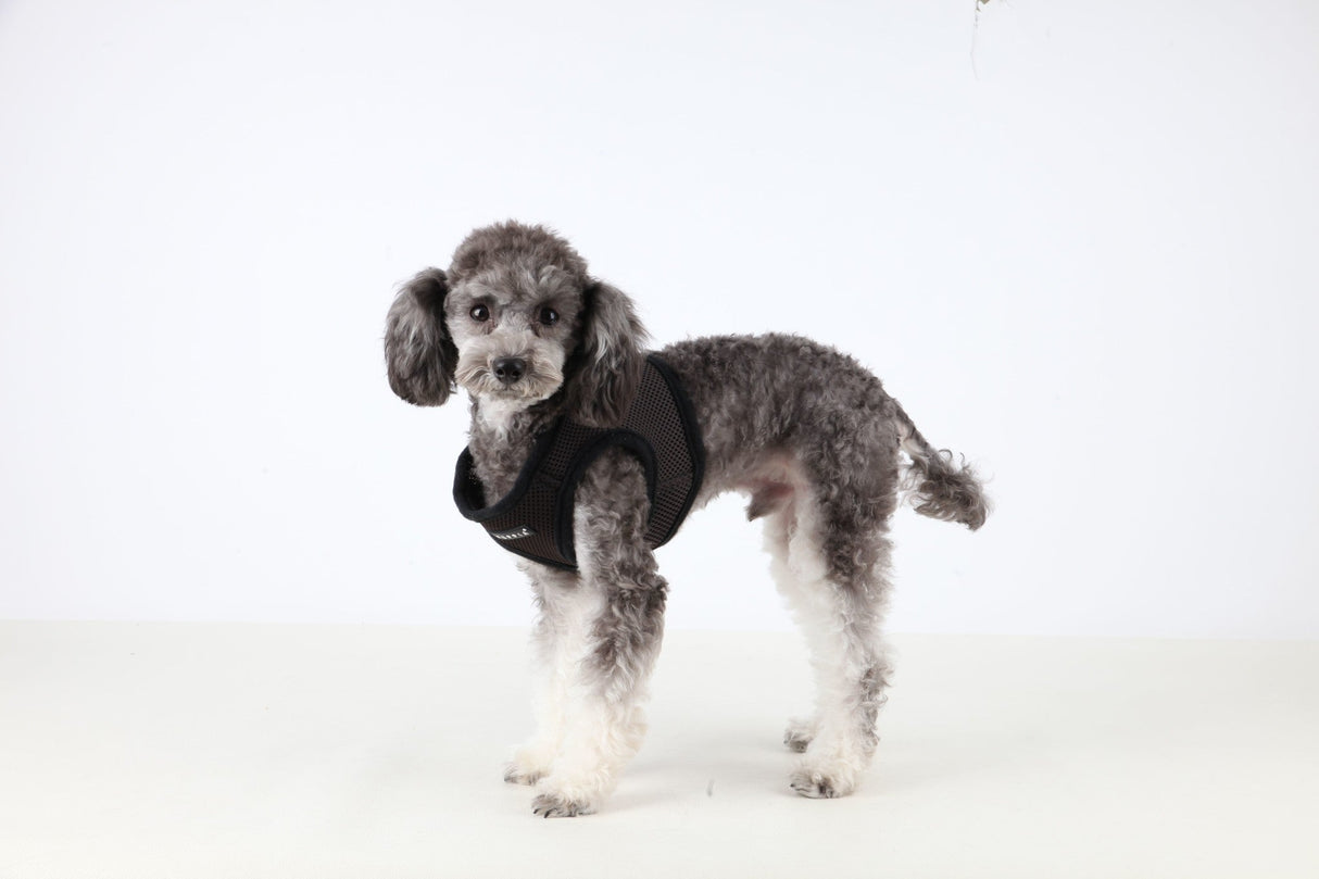 Puppia Soft Vest Harness model B brown - Premium hondentuig > honden harnas from Puppia - Just €18.99! Shop now at Frenkiezdogshop