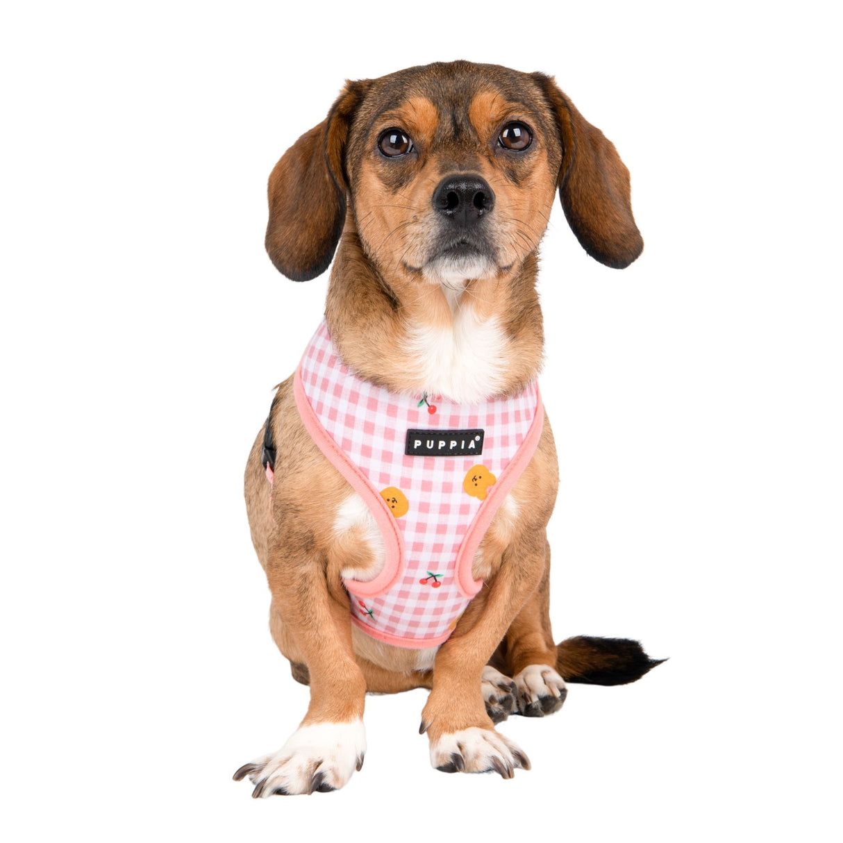 Puppia Baba Harness Model A  Indian Pink - Premium hondentuig > honden harnas from Puppia - Just €20! Shop now at Frenkiezdogshop