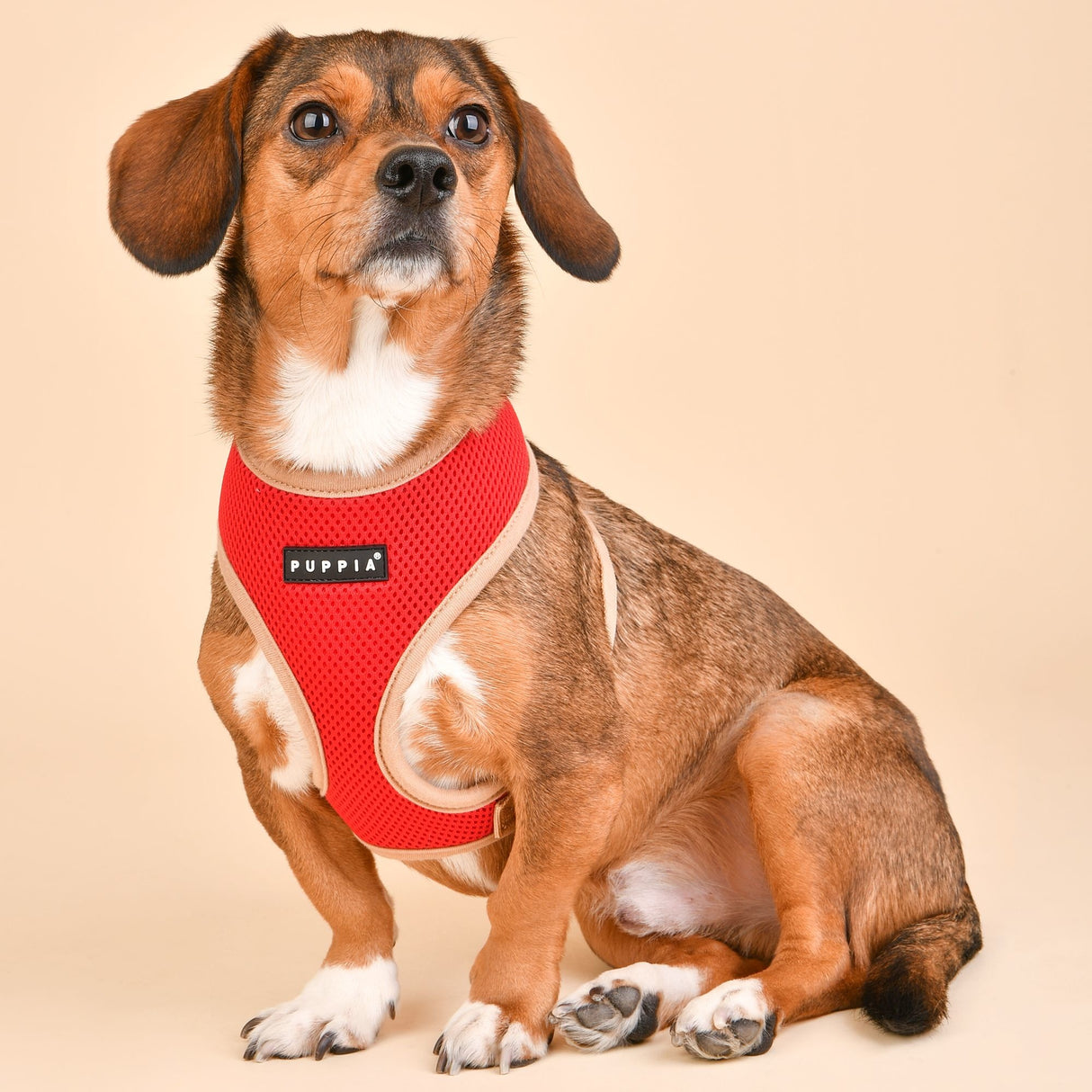 Puppia Soft Harness II model A Red - Premium hondentuig > honden harnas from Puppia - Just €18.99! Shop now at Frenkiezdogshop