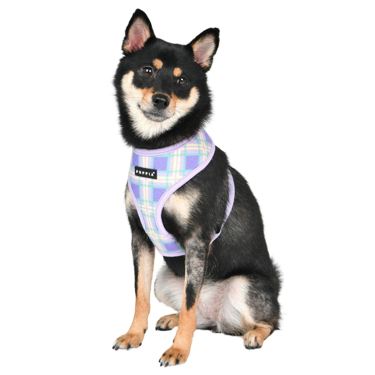 Puppia Jaylen Harness Model A  Violet - Premium hondentuig > honden harnas from Puppia - Just €31.99! Shop now at Frenkiezdogshop