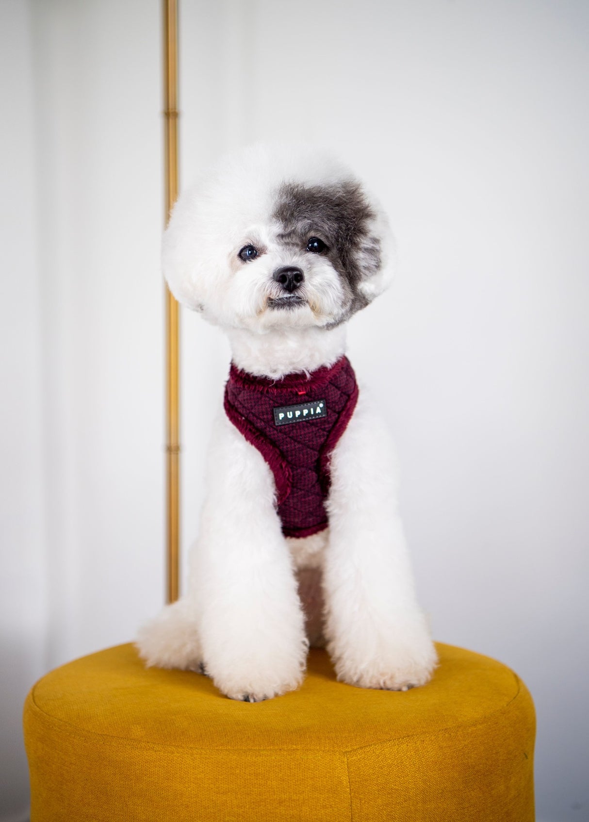 Puppia Gaspar Harness Model A Wine - Premium hondentuig > honden harnas from Puppia - Just €27.99! Shop now at Frenkiezdogshop