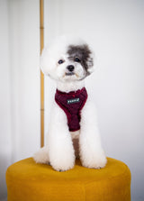 Puppia Gaspar Harness Model A Wine - Premium hondentuig > honden harnas from Puppia - Just €27.99! Shop now at Frenkiezdogshop