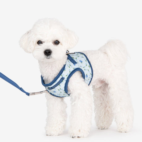 Puppia Florian Vest Harness model B Blue hondentuig > honden harnas > model B Small