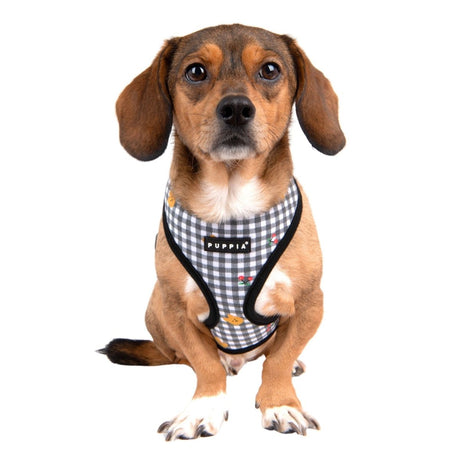 Puppia Baba Harness Model A Black hondentuig > honden harnas > model A Small