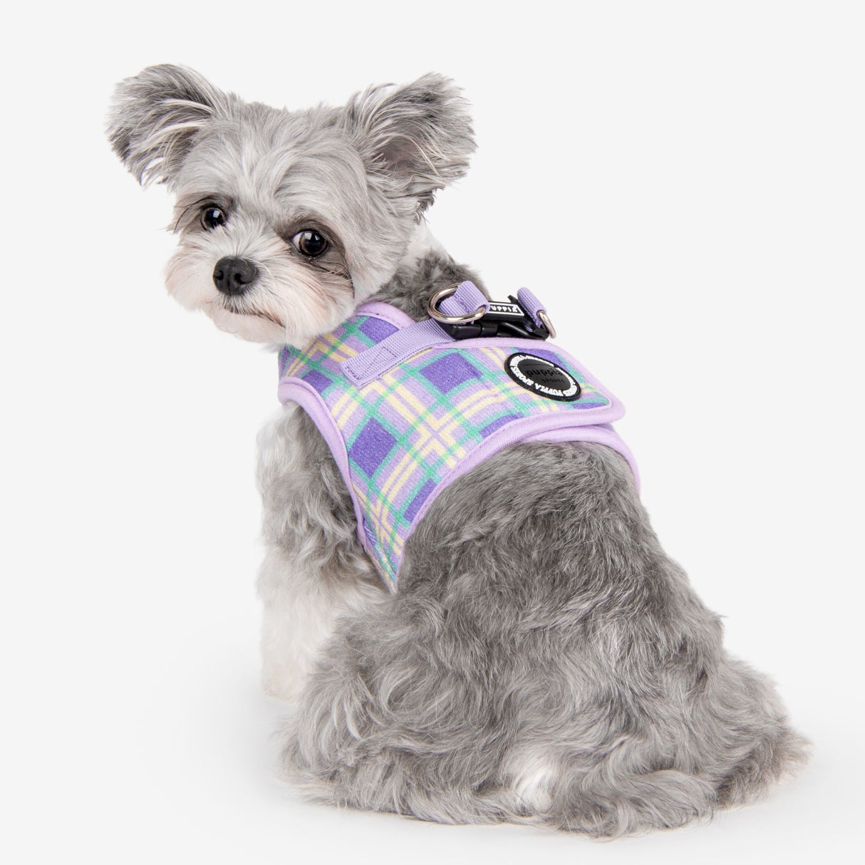 Puppia Jaylen Vest Harness model B Violet - Premium hondentuig > honden harnas from Puppia - Just €33.99! Shop now at Frenkiezdogshop