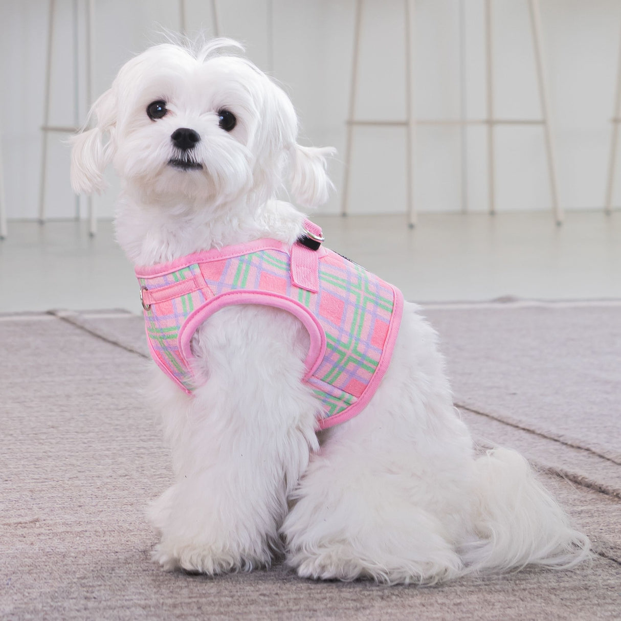 Puppia Jaylen Vest Harness model B Pink - Premium hondentuig > honden harnas from Puppia - Just €33.99! Shop now at Frenkiezdogshop