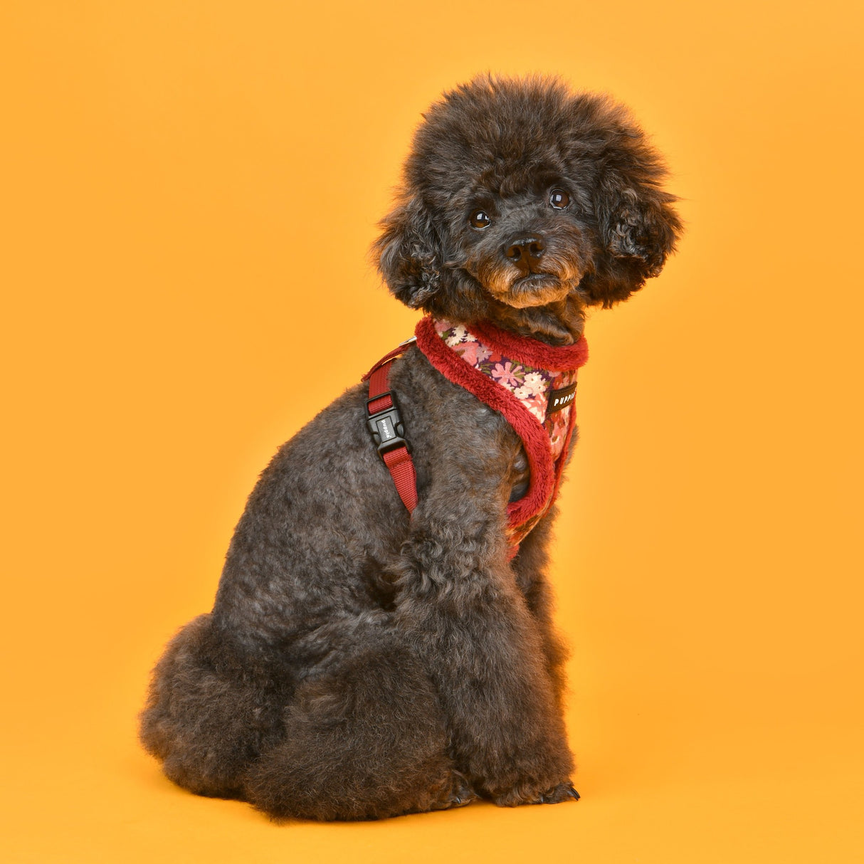 Puppia Gianni Harness Model A Wine - Premium hondentuig > honden harnas from Puppia - Just €27.99! Shop now at Frenkiezdogshop