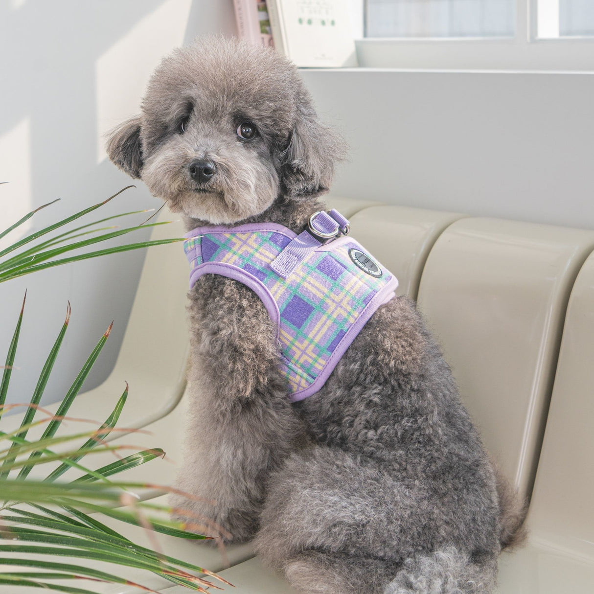 Puppia Jaylen Vest Harness model B Violet - Premium hondentuig > honden harnas from Puppia - Just €33.99! Shop now at Frenkiezdogshop