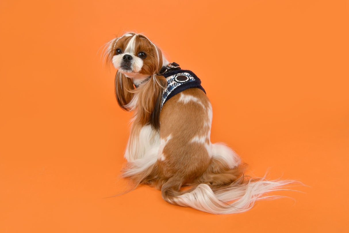 Puppia Vest Harness B Kellen Navy - Premium hondentuig > honden harnas from Puppia - Just €30.99! Shop now at Frenkiezdogshop