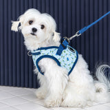 Puppia Florian Vest Harness model B Blue - Premium hondentuig > honden harnas from Puppia - Just €33.99! Shop now at Frenkiezdogshop