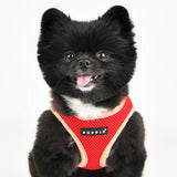 Puppia Soft Vest Harness II model B Red - Premium hondentuig > honden harnas from Puppia - Just €19.99! Shop now at Frenkiezdogshop