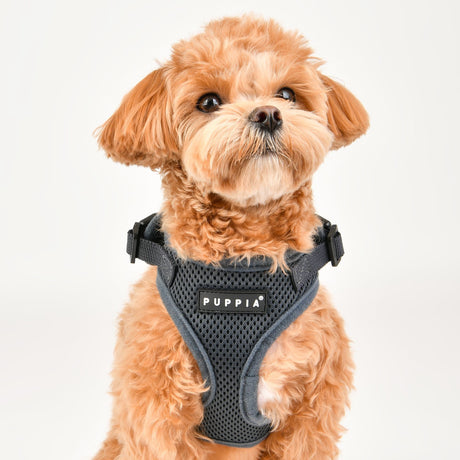 Puppia Soft Harness Ritefit Grey hondentuig > honden harnas > model A Small
