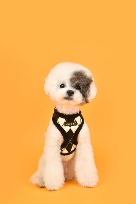 Puppia Jaden Harness Model A Black hondentuig > honden harnas > model A Small