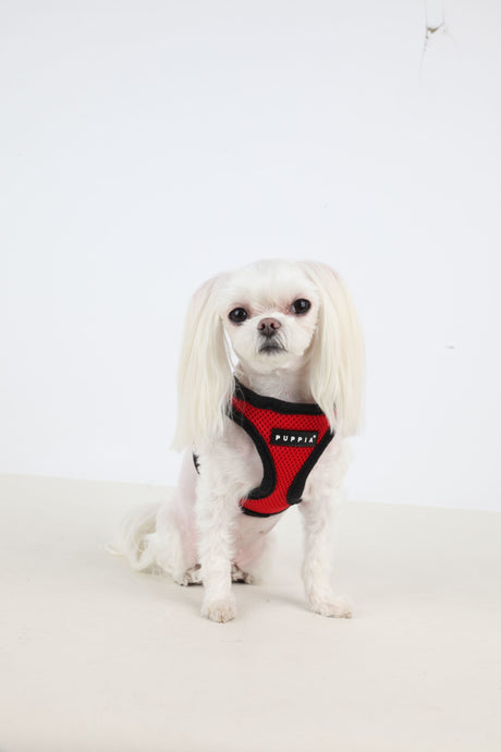 Puppia Soft Vest Harness model B red hondentuig > honden harnas > model B X - Small