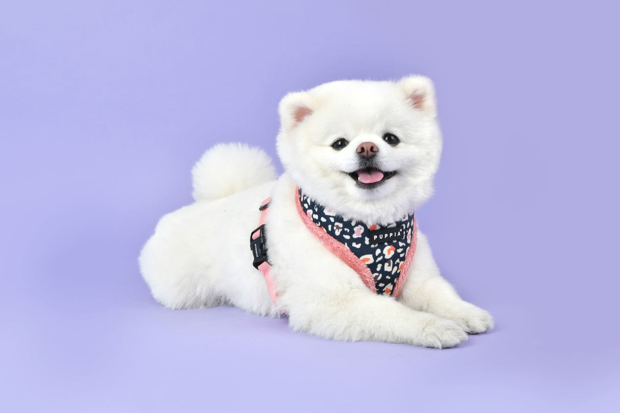 Puppia Elyse Harness Model A Indian Pink ( L & XL ) - Premium Hondenkleding > Hondentrui from Puppia - Just €23.99! Shop now at Frenkiezdogshop