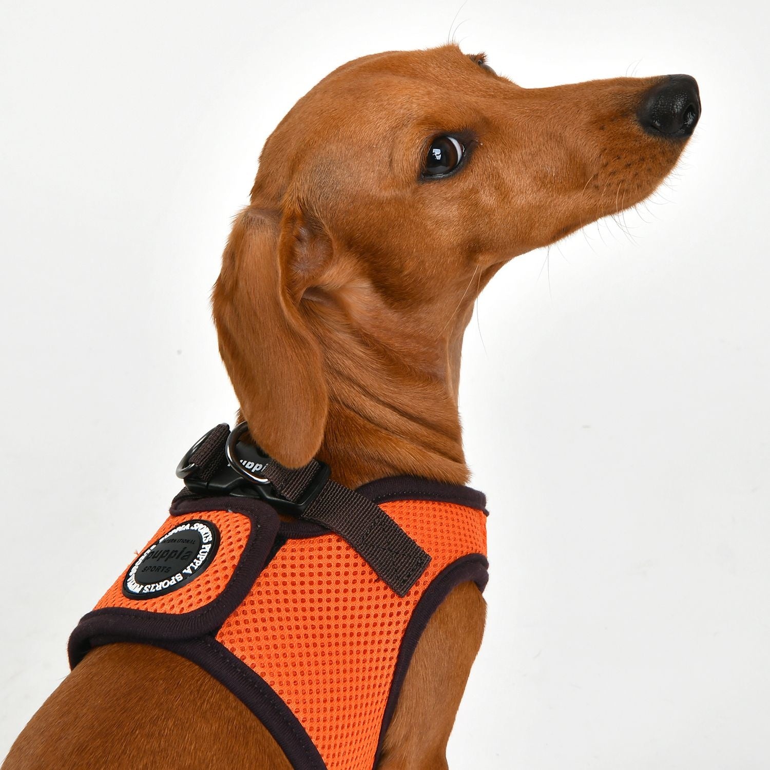 Puppia Soft Mesh Dog Harness – Adjustable, Padded Neck, Quick-Release Buckle, Comfortable For Walks & Training, Neon Orange, Size M