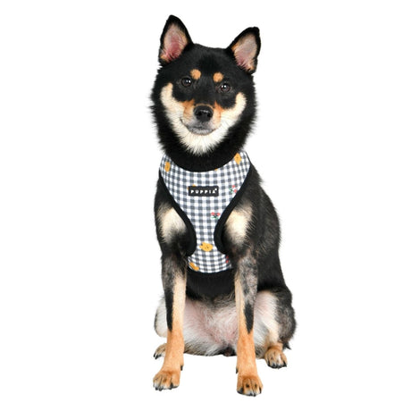 Puppia Baba Harness Model A Black hondentuig > honden harnas > model A Small